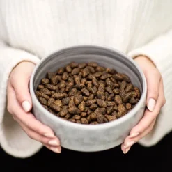 Buddy Wild Venison koiranruoka, 2 kg