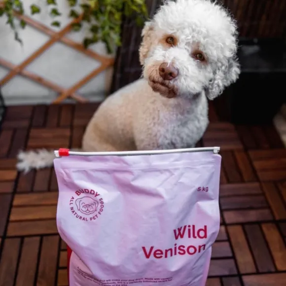 Buddy Wild Venison kuivaruoka, 5 kg