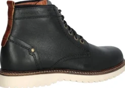 Canada Snow Williams Lace kengät, Black