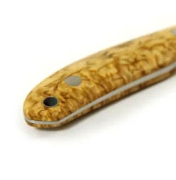 Casström Safari Masur