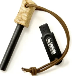 Casström tulukset, koivu