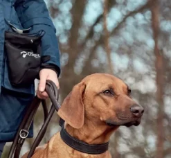 Catago Snack Pocket namipussi, musta