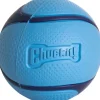 Chuckit! Sniff Ball Bacon M