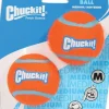 Chuckit! Tennispallot M, 2-pack