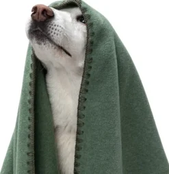 Cloud7 Blanket Fleece koiranpeitto, S, vihreä