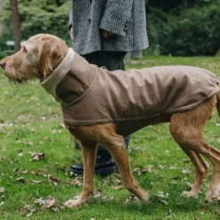 Cloud7 Brooklyn Dog Coat koiran takki, Flannel Hazel, 6–10
