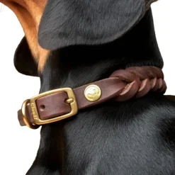 Cloud7 Collar Central Park nahkapanta, XS-M, ruskea