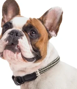 Cloud7 Collar Mauerpark köysikaulapanta, XS-XL, Zick Zack Black