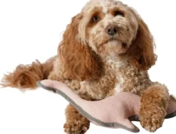 Cloud7 Dino Ole lelu