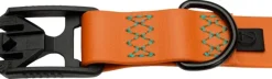 Cloud7 Dog Collar Ipanema kaulapanta, S-M, Orange