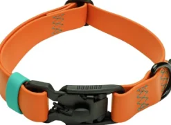 Cloud7 Dog Collar Ipanema kaulapanta, L, Orange