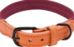Cloud7 Dog Collar Madeira kaulapanta, L-XL, Papaya