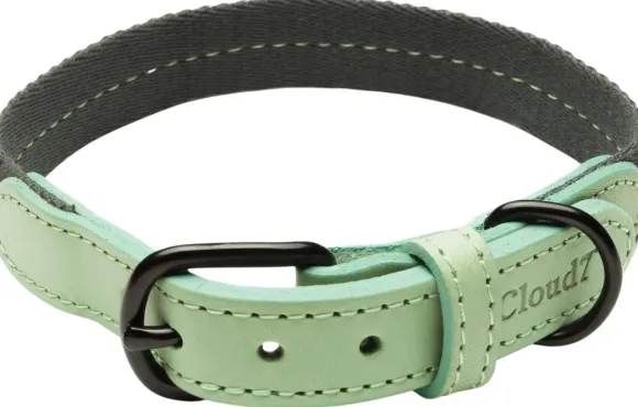 Cloud7 Dog Collar Madeira kaulapanta, XS-M, Mint