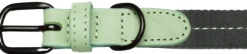 Cloud7 Dog Collar Madeira kaulapanta, XS-M, Mint