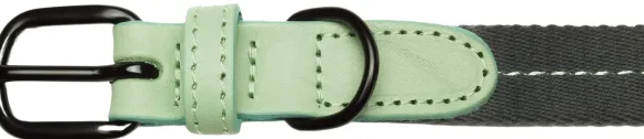 Cloud7 Dog Collar Madeira kaulapanta, XS-M, Mint