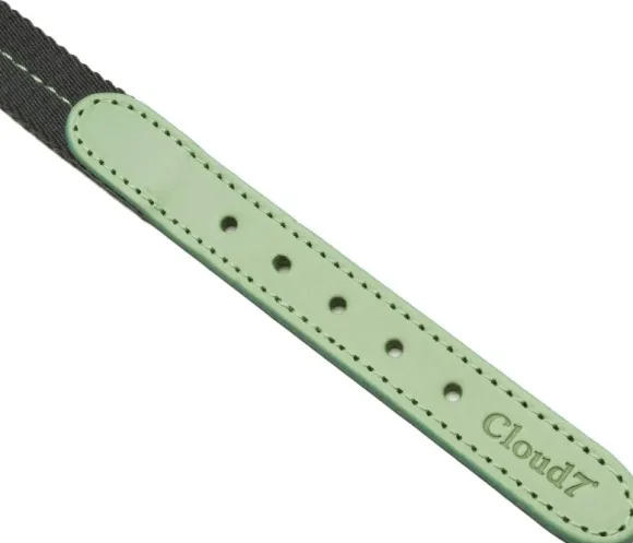 Cloud7 Dog Collar Madeira kaulapanta, XS-M, Mint