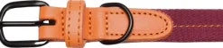 Cloud7 Dog Collar Madeira kaulapanta, XS-M, Papaya