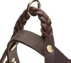 Cloud7 Harness Central Park nahkavaljaat, XL, ruskea