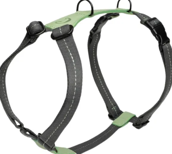 Cloud7 Harness Madeira valjaat, XS-S, Mint