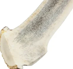 Cloud7 peuransarvi puruluu, M