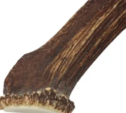 Cloud7 peuransarvi puruluu, L