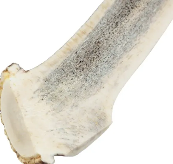 Cloud7 peuransarvi puruluu, S