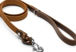 Denjo Dogs Signature talutin, S, Brown/Mustard