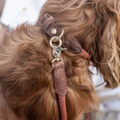 Denjo Dogs Torekov kaulapanta XS - S, Rusty Bronze