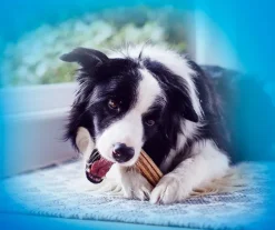 Dentalife Medium purutikku, 8 x 69g