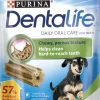 Dentalife Small purutikku, 10 x 49g