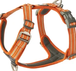 DOG Copenhagen Comfort Walk Air Harness koiran valjaat, L-XL, Orange Sun