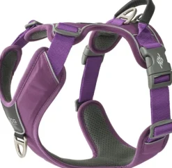 DOG Copenhagen Comfort Walk Pro Harness koiran valjaat, XS, Purple Passion