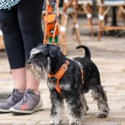 DOG Copenhagen Comfort Walk Air Harness koiran valjaat, XS, Black