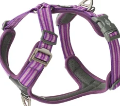 DOG Copenhagen Comfort Walk Air Harness koiran valjaat, S-M, Purple Passion