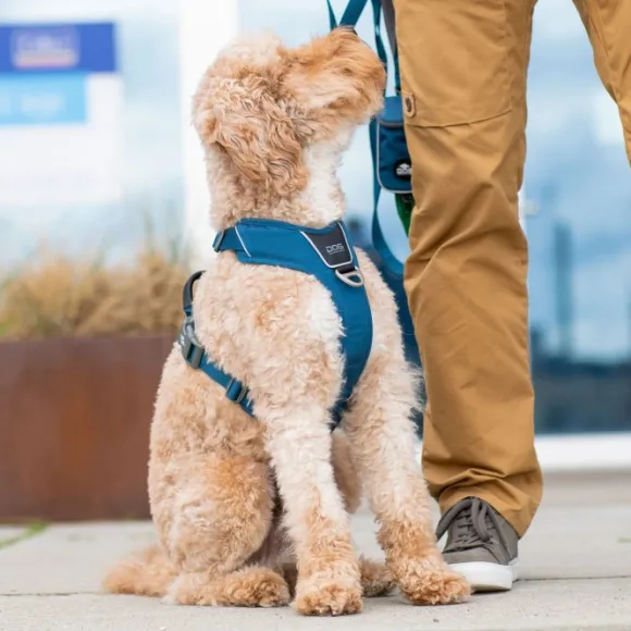 DOG Copenhagen Comfort Walk Pro Harness Lemon XL