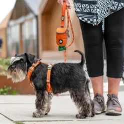 DOG Copenhagen Comfort Walk Air Harness koiran valjaat, XS, Orange Sun