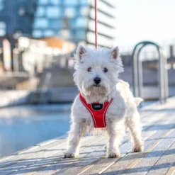 DOG Copenhagen Comfort Walk Go Harness Desert Dune M