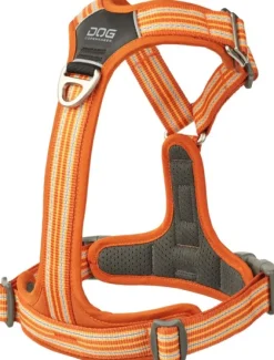 DOG Copenhagen Comfort Walk Air Harness koiran valjaat, S-M, Orange Sun