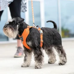 DOG Copenhagen Comfort Walk Pro Harness Lemon L