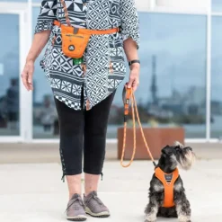 DOG Copenhagen Go Explore Treat Bag Lemon