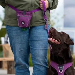 DOG Copenhagen Go Explore Treat Bag makupalapussi, Purple Passion