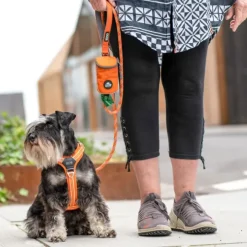DOG Copenhagen Pouch Organizer Leash Bag tarvikelaukku talutushihnaan, Orange Sun