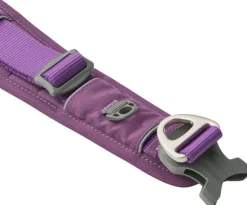 DOG Copenhagen Urban Explorer Collar kaulapanta, Purple Passion