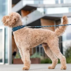 DOG Copenhagen Urban Explorer Collar Lemon