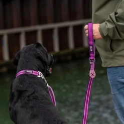 DOG Copenhagen Urban Freestyle Leash Lemon