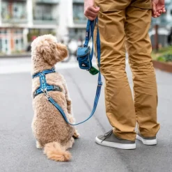 DOG Copenhagen Urban Freestyle Leash Desert Dune