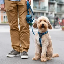 DOG Copenhagen Urban Freestyle Leash talutushihna, Mocca