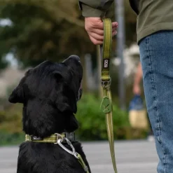 DOG Copenhagen Urban Style Collar Lemon