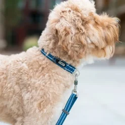 DOG Copenhagen Urban Style Collar Lemon