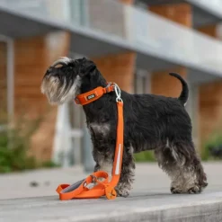 DOG Copenhagen Urban Trail Leash Desert Dune
